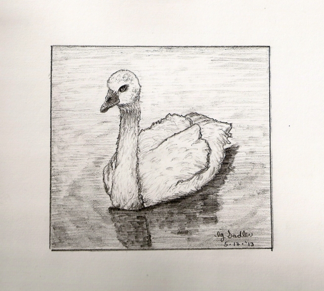 M07 Swan