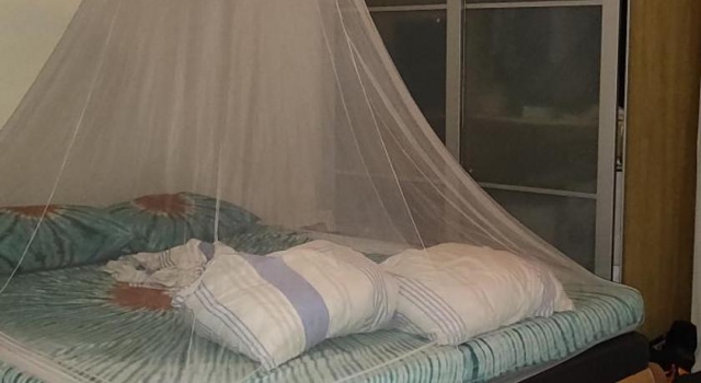 Canopy Bed Plans - How You Can Make Your Own Beautiful Canopy Bed