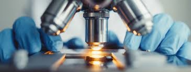 Food and Beverage Applications