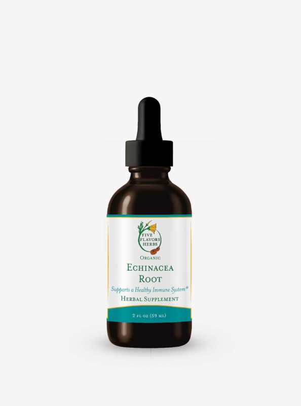 Echinacea Root Benefits: Why Echinacea Tincture is a Must-Have in Your Wellness Routine