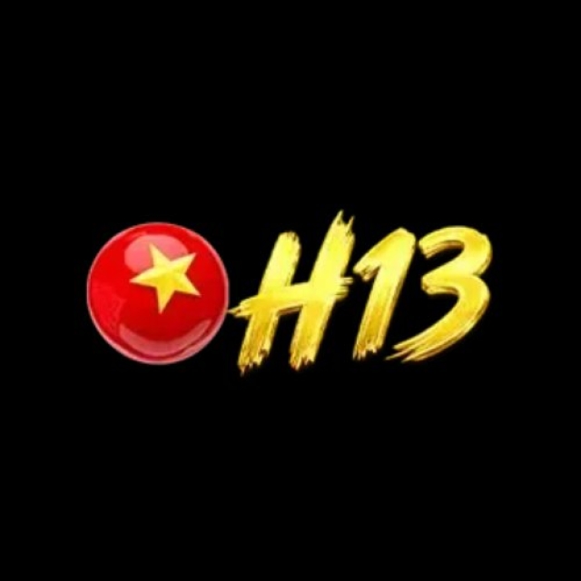 h13cam