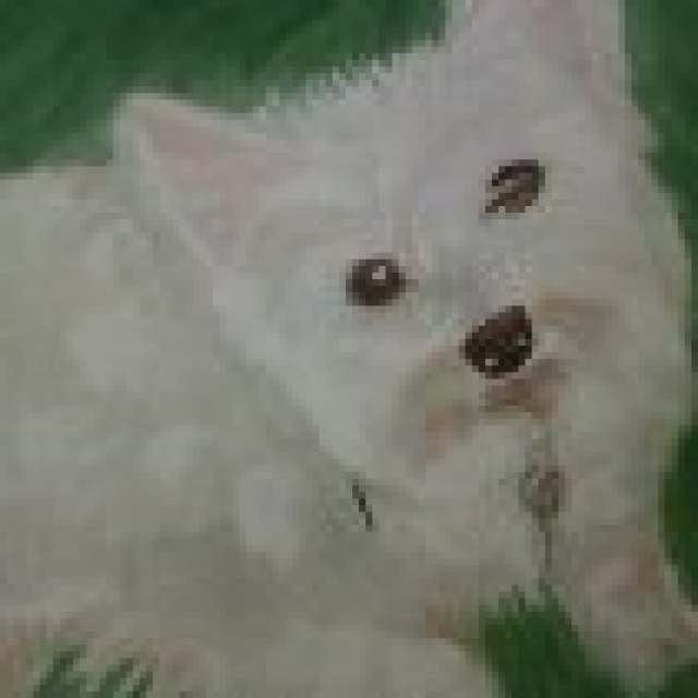 2-F7A121F3-768325-480