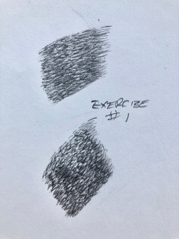 Here is exercise # 1 I did two versions. I think they look more like fish scales than hair