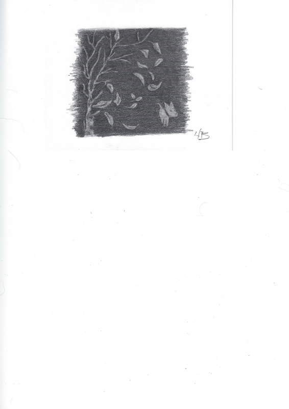 Exercise 4