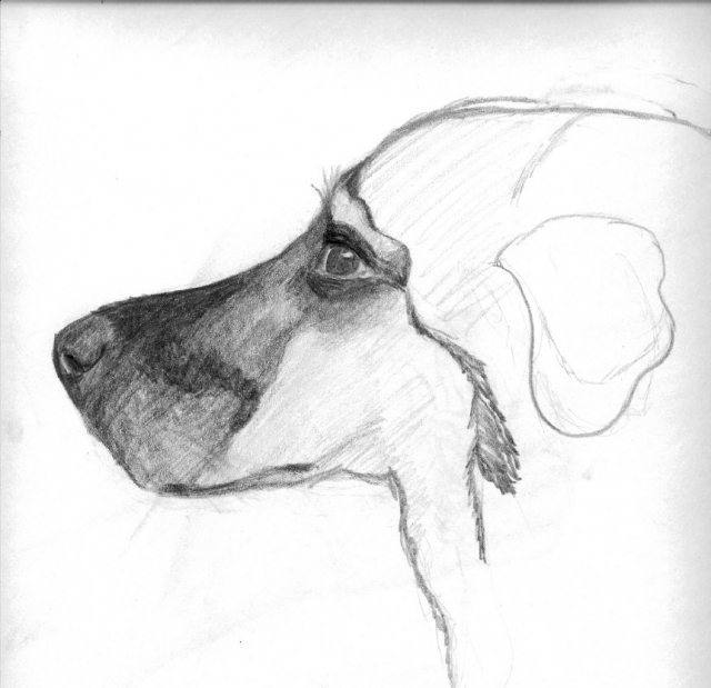 Sandy (unfinished).jpg