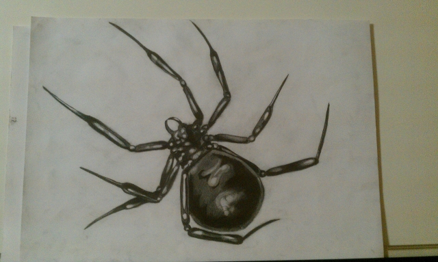 IMAG0091