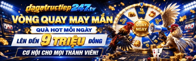 Đá Gà Trực Tiếp