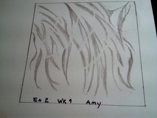 exwk4amy