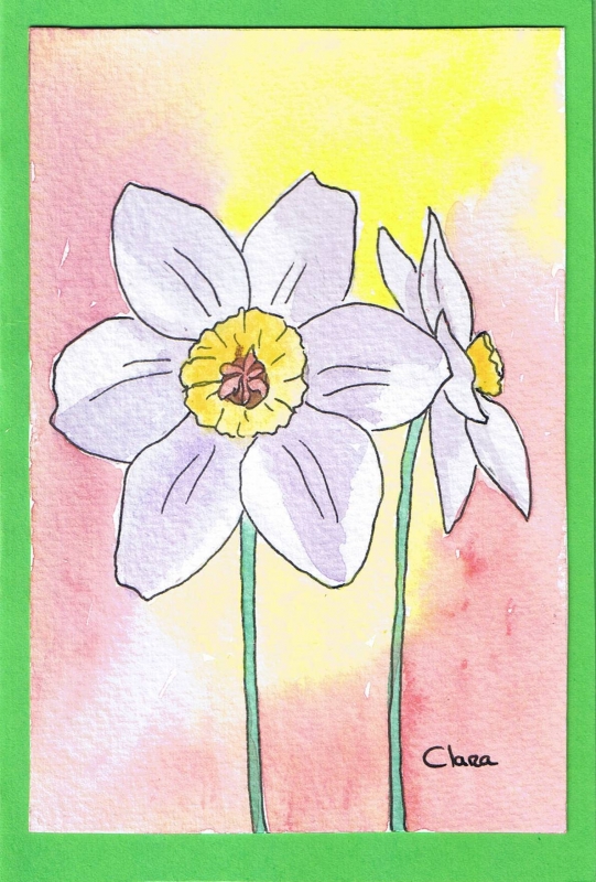 46