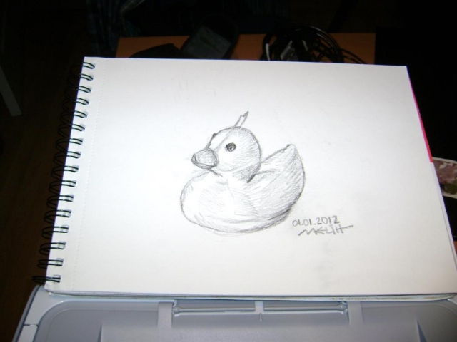 duck.JPG
