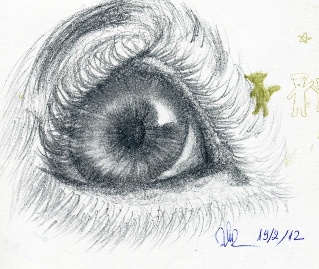 dog-eye007