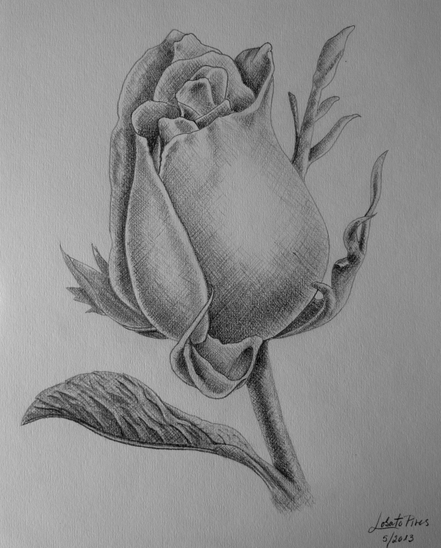 Bud the Rose