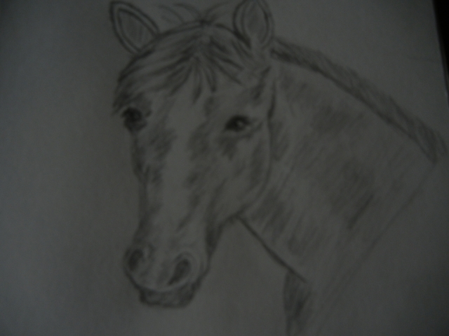 dscn0382