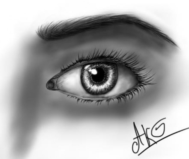 Eyelashes on an Eye