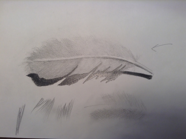 Lesson 6 - feather