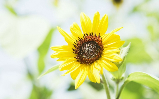 Customized lithium deep cycle marine battery