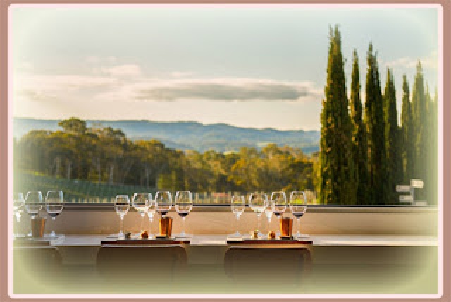 Things to Know About the Best Wineries in South Australia