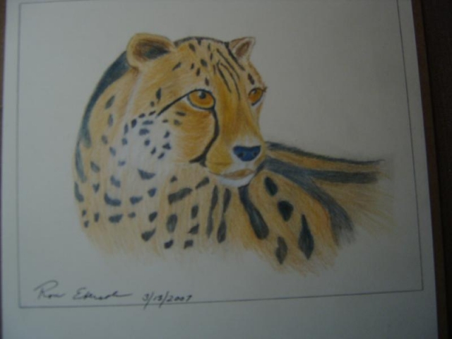 KING CHEETAH