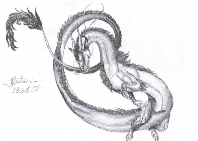 Dragão Chinês Revolution..