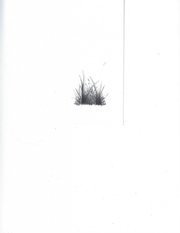 exercise 4