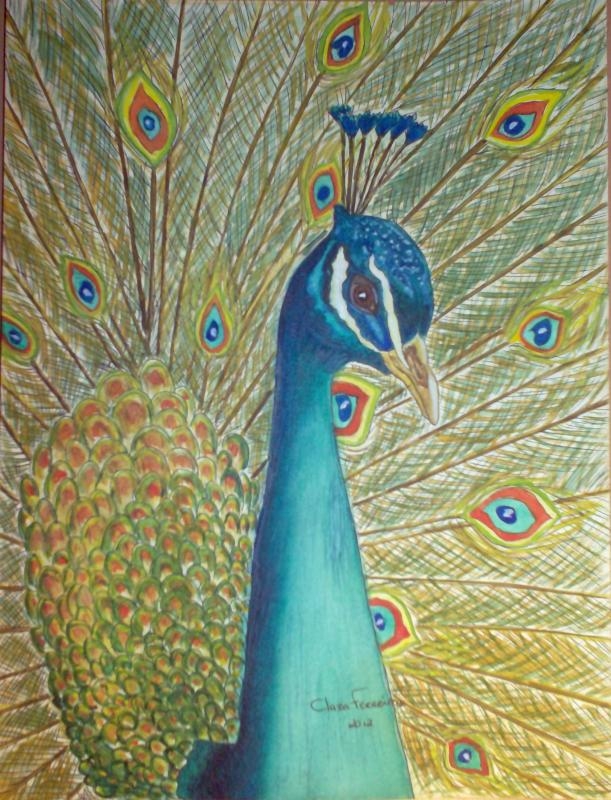 Peacock