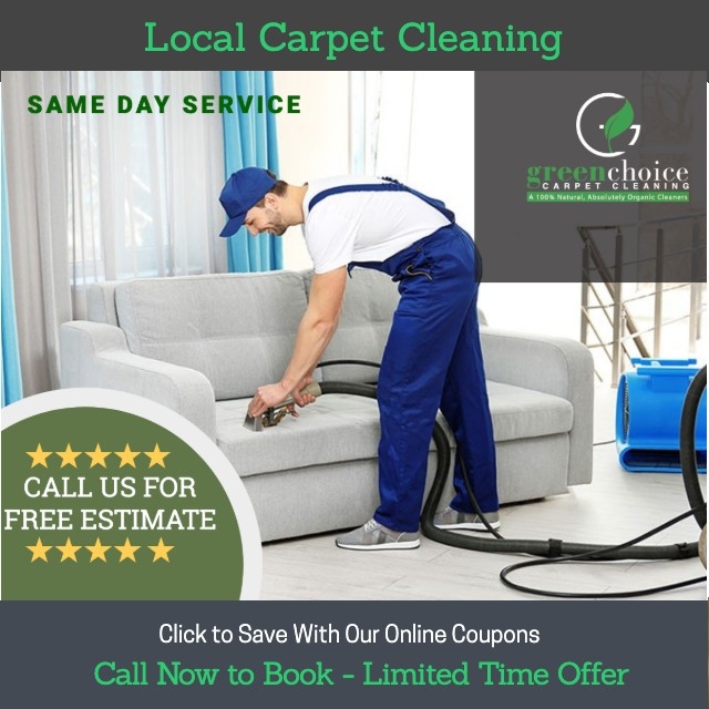 Picking the Best Carpet Cleaners and Carpet Steam Cleaners