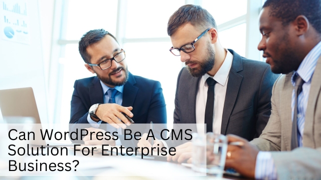 WordPress For Enterprise: Can wordpress Be A CMS solution For Enterprise Business? SFWPExperts