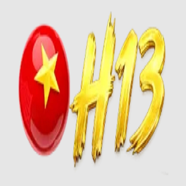 H13