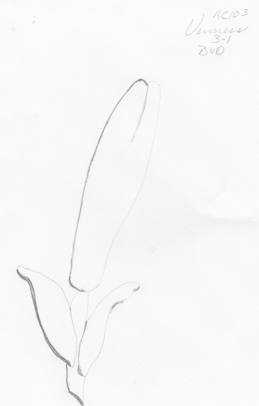 rc103-3_1