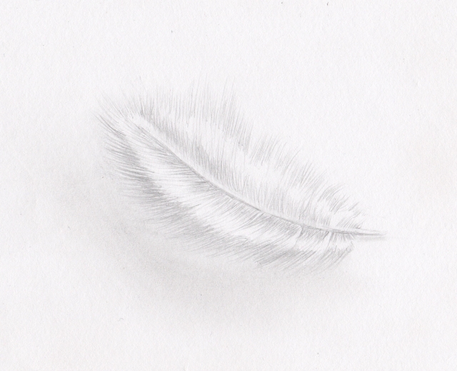 My white feather
