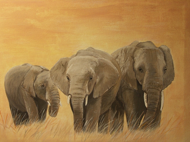 elephants