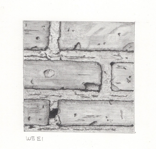 W5E1 - Another Brick in the Wall