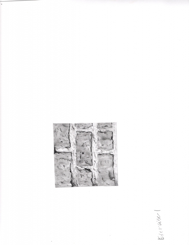 Exercise 1: Bricks