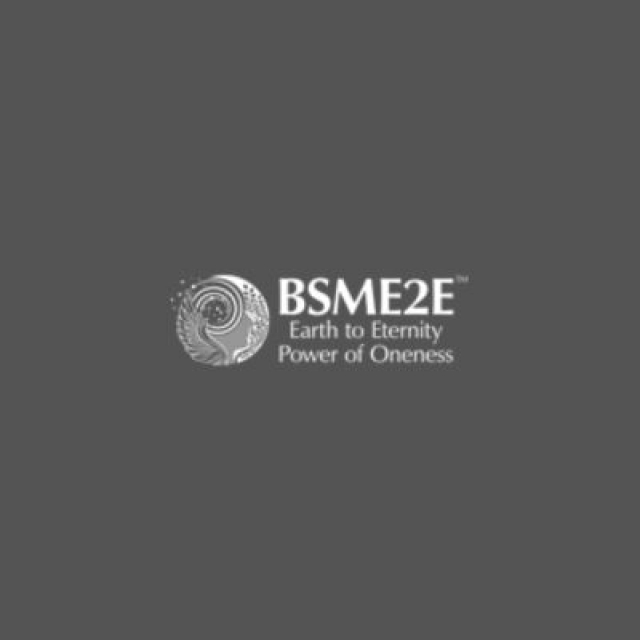 Empower Your Shopping Experience: Introducing Agent eStores from BSME2E