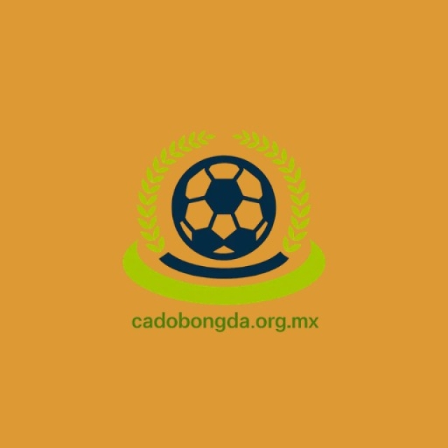 Cá độ bóng đá - Top trang cá độ bóng đá online uy tín nhất 2026