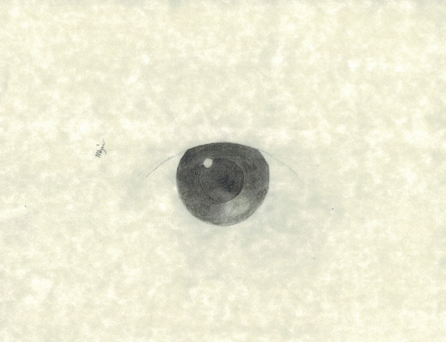 CCI24102011_0008