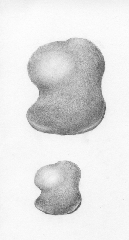 turn-a-shape-into-a-form