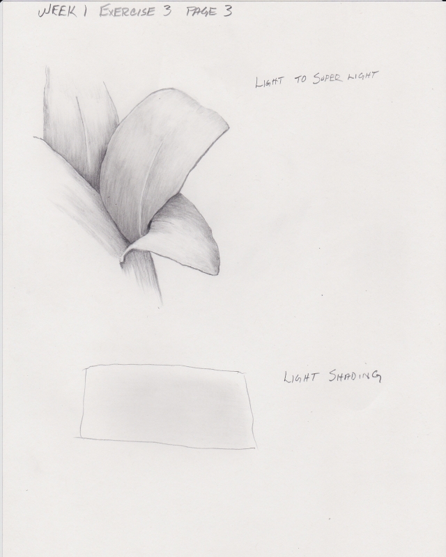 Week 1 Exercise 3 Page 3