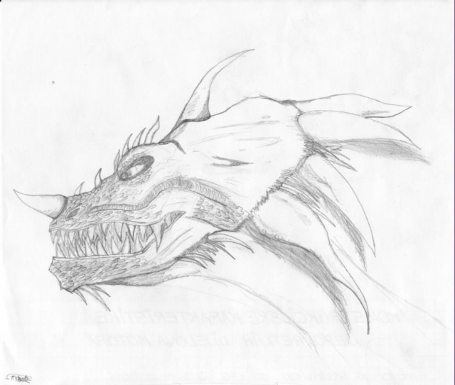 Dragon1