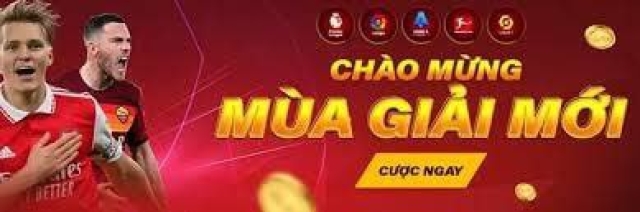 Trang Cá Độ Bóng Đá