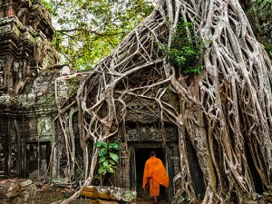 Air & 12+ Day Asia w/ 2nd Person Flies Free