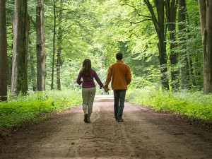 Air & 8-Day Rhine Cruise on Avalon Waterways