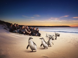 Best of Australia: Melbourne & The Outback