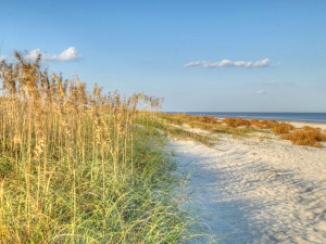The Westin Jekyll Island - Golden Isles, GA