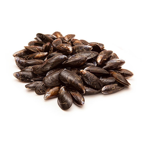 Mussels (Rope Grown) Please Consume On Delivery Date