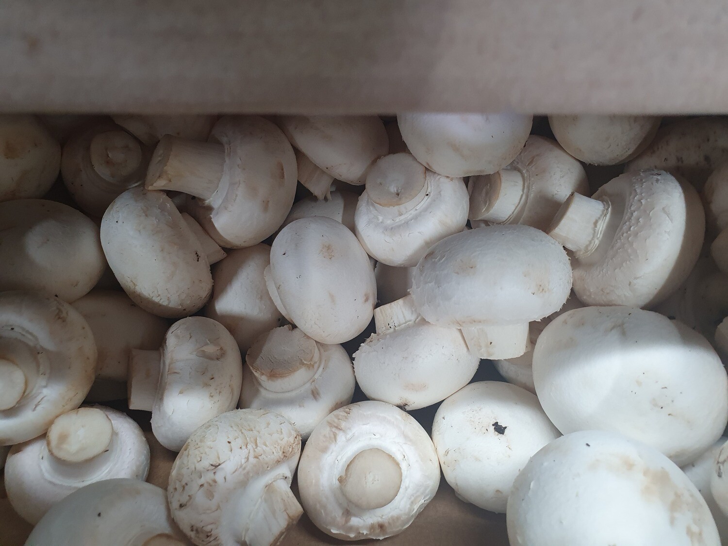 Organic Mushrooms - White 400g (Whareatua)