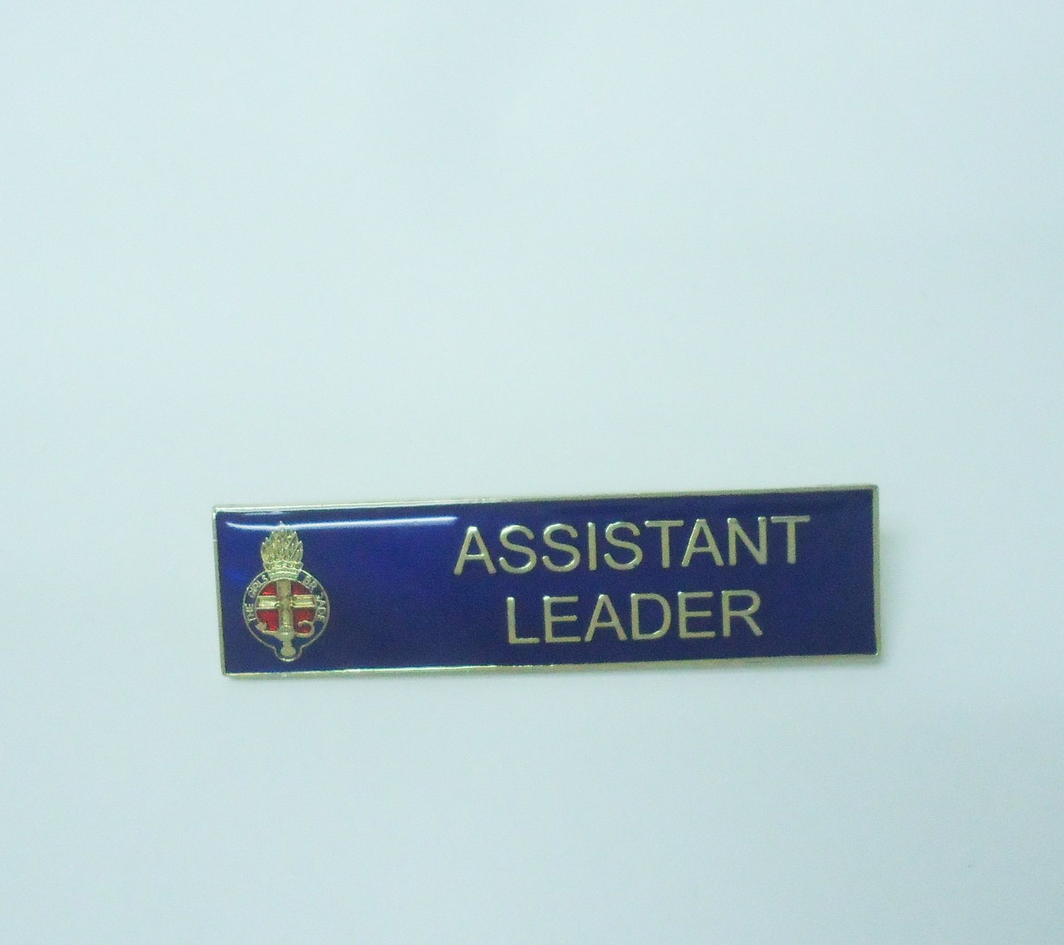 Assistant Leader's Badge & Appointment Card