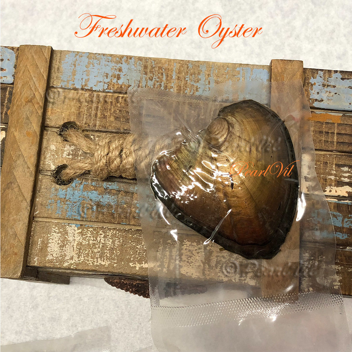 Freshwater Oysters