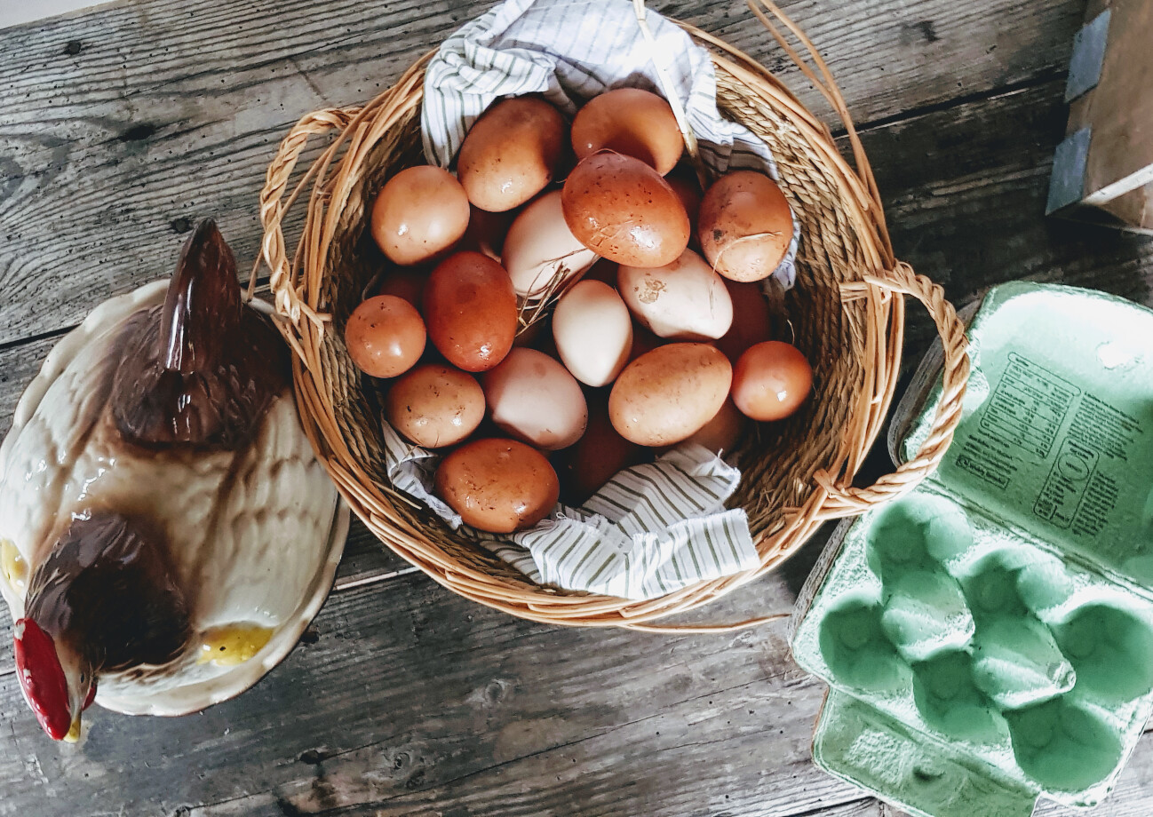 Free Range Chicken Eggs 1/2 Doz