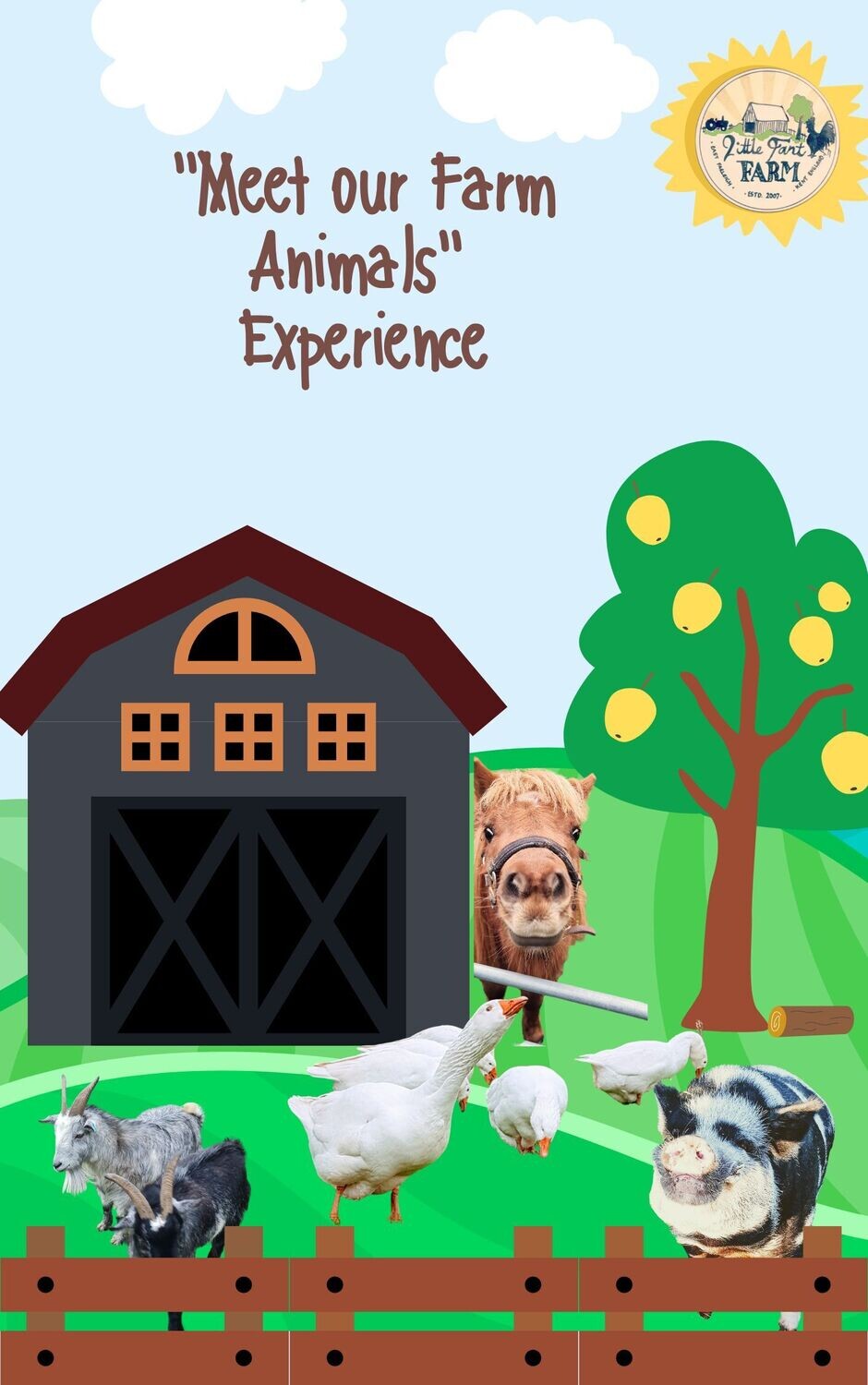 Meet & Feed The Farm Animals Experience